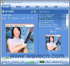 Windows Media Player with CD info